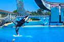 San Diego Activities
