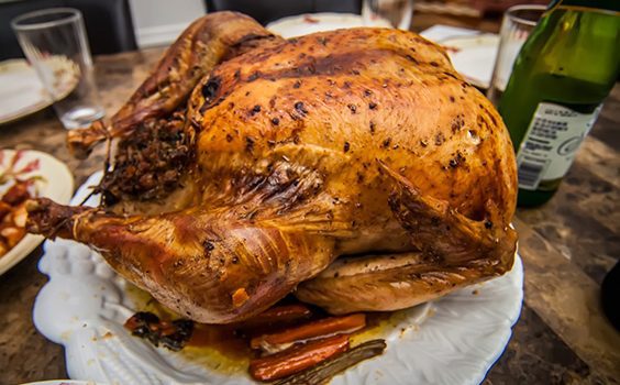 Turkey Idioms