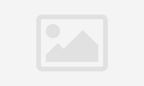 Language Studies – Introduction
