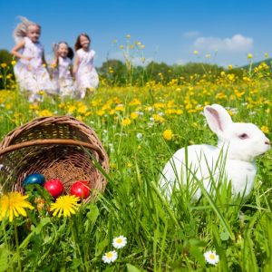 International Student Question: What are American Easter traditions?