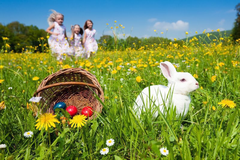 International Student Question What are American Easter traditions?
