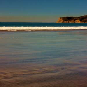 Photo of the day: Coronado Beach