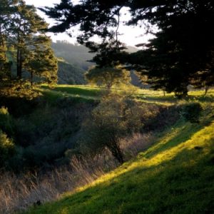 CISL SF Student Activity: Hiking in the Bay Area (and phrasal verbs with “walk”)