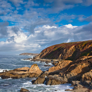 Visiting Bodega Bay