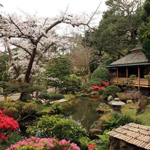 A Day at Golden Gate Park