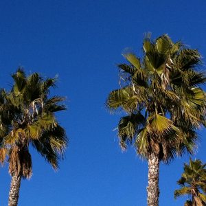 10 Songs about California for ESL Students