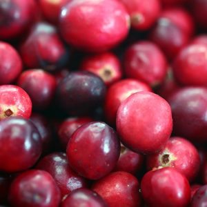 Fall Flavors: Cranberries! (+ Simple Passive Practice)